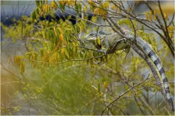 _dsc2877 1920